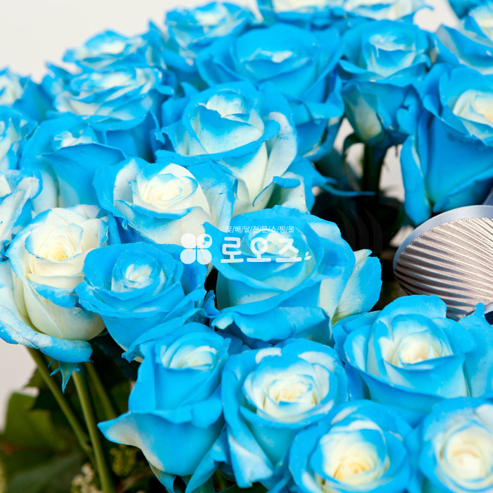 상세이미지
