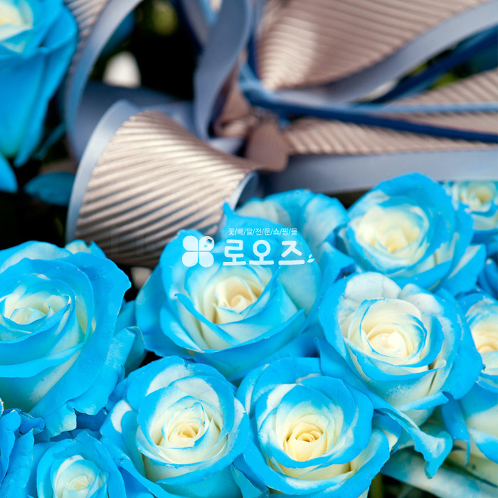 상세이미지