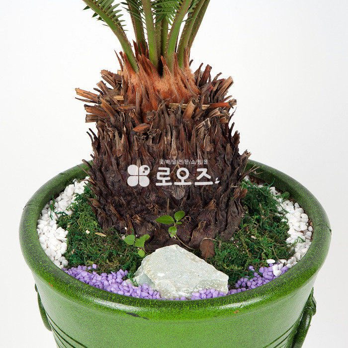 상세이미지