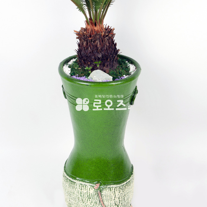 상세이미지
