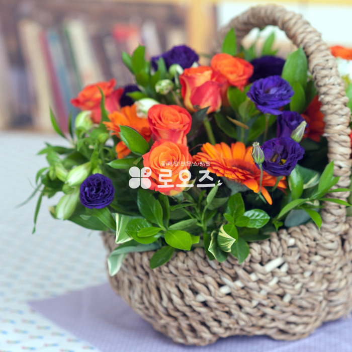 상세이미지