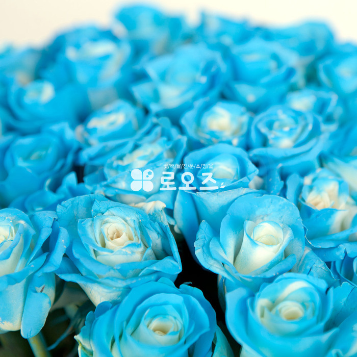 상세이미지