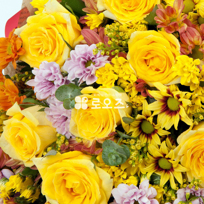 상세이미지