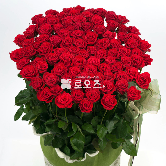 상세이미지