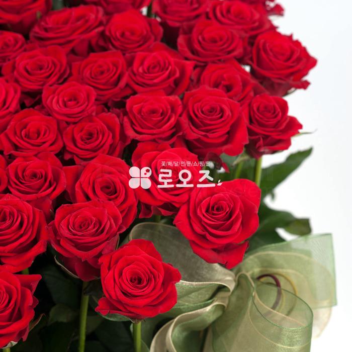 상세이미지