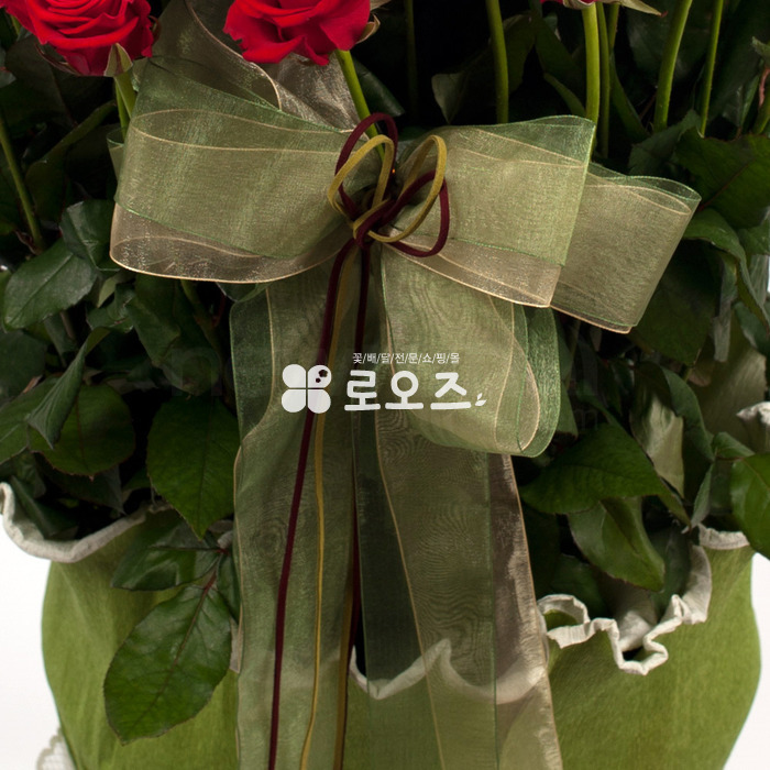 상세이미지