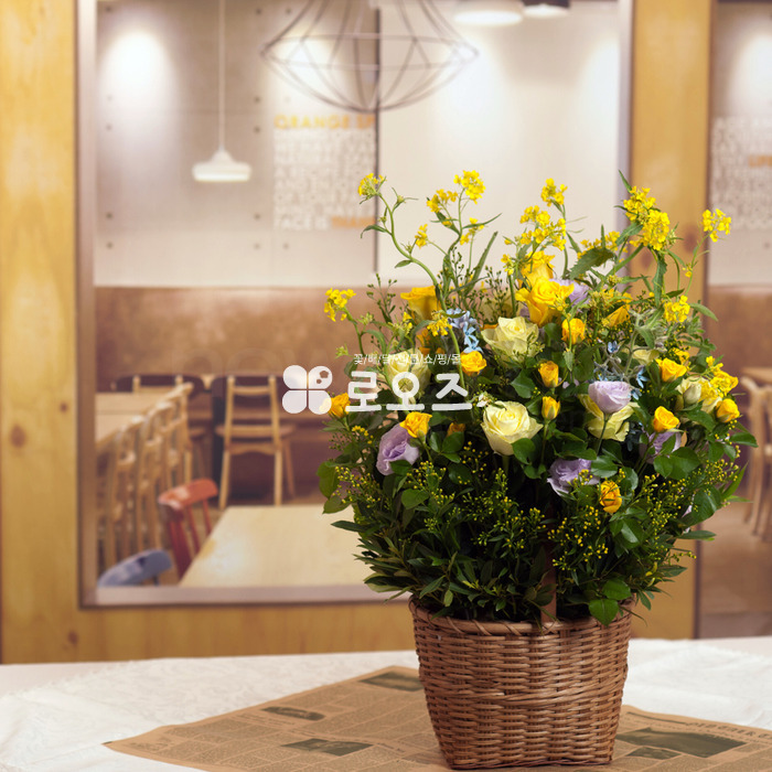 상세이미지