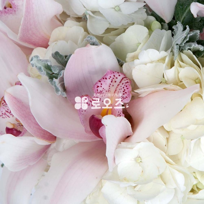 상세이미지