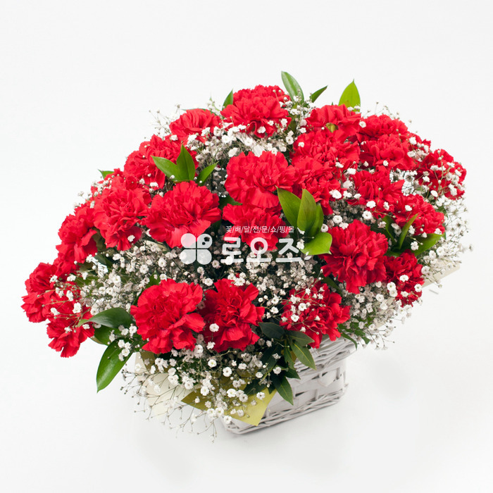 상세이미지