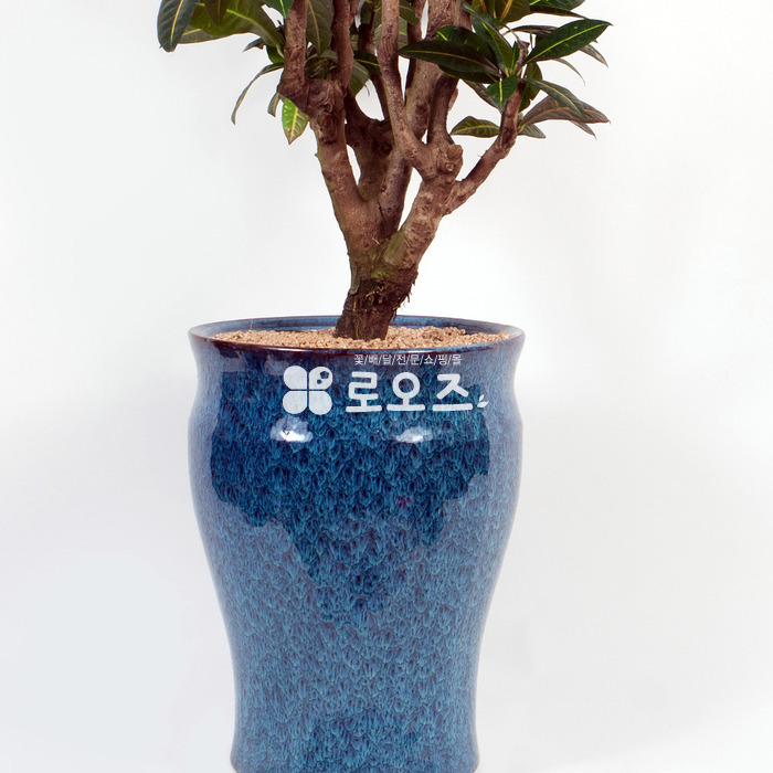 상세이미지