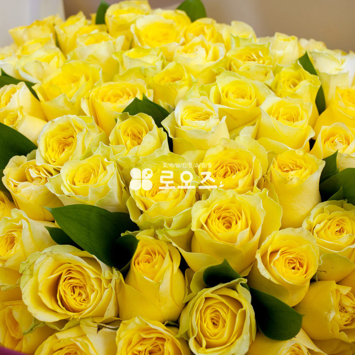 상세이미지