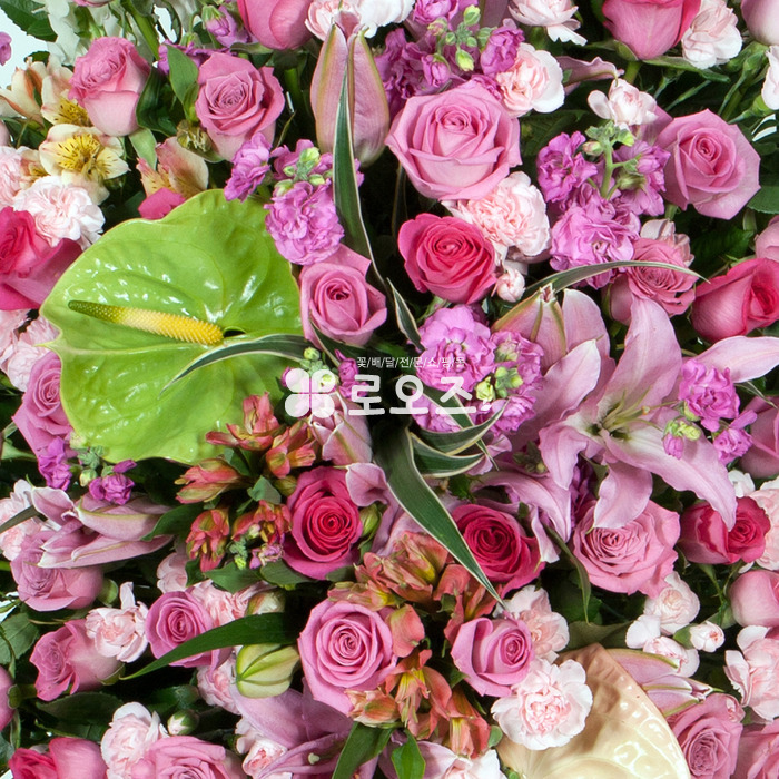 상세이미지