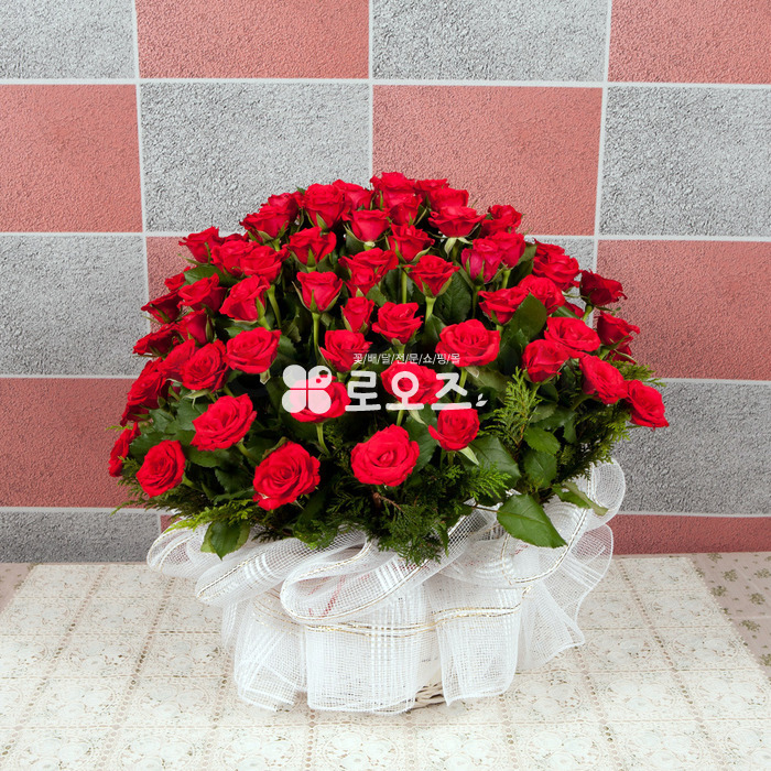 상세이미지