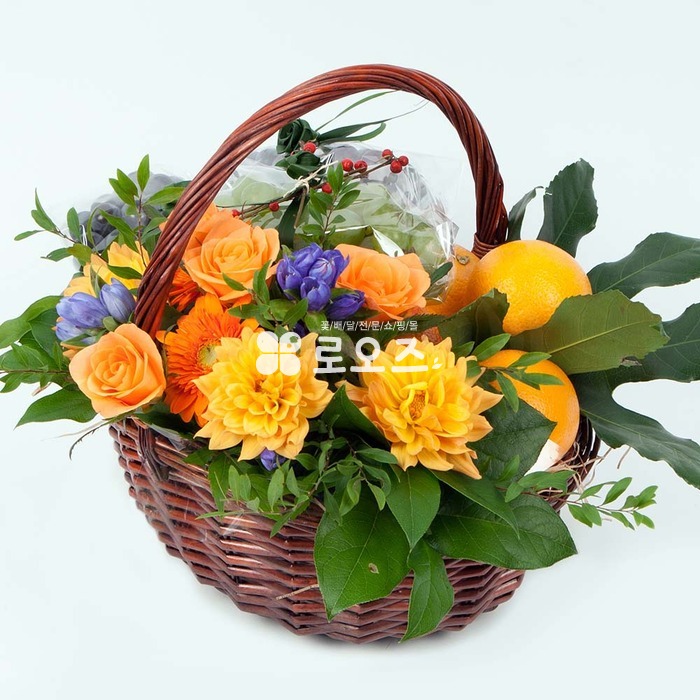 상세이미지
