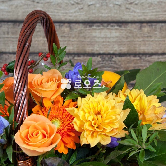 상세이미지