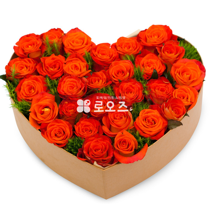 상세이미지