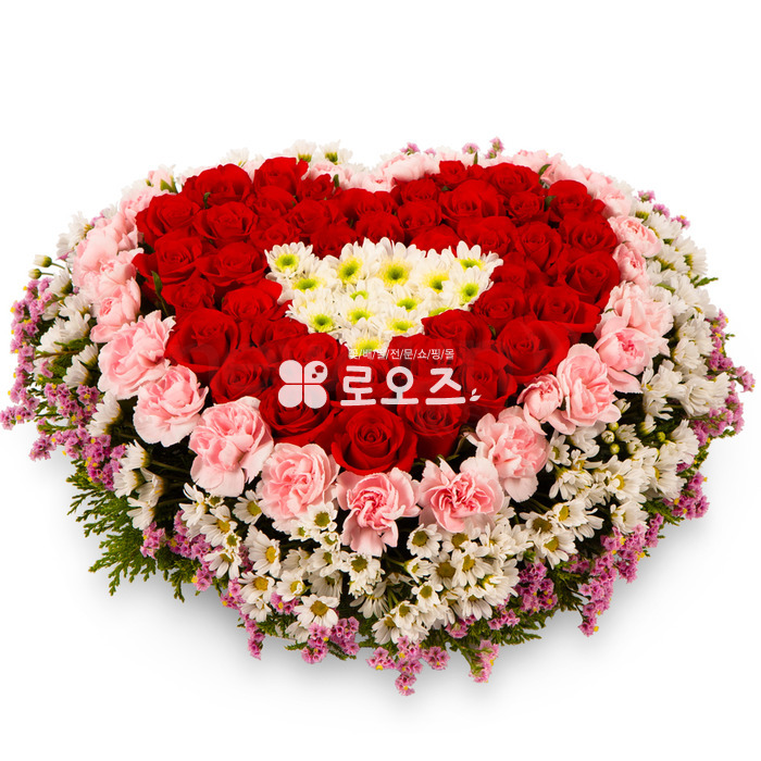 상세이미지