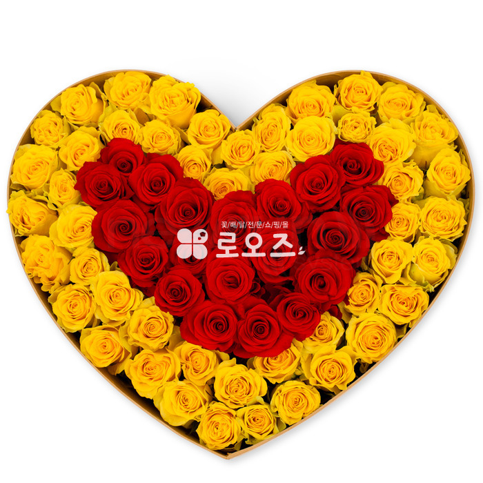 상세이미지