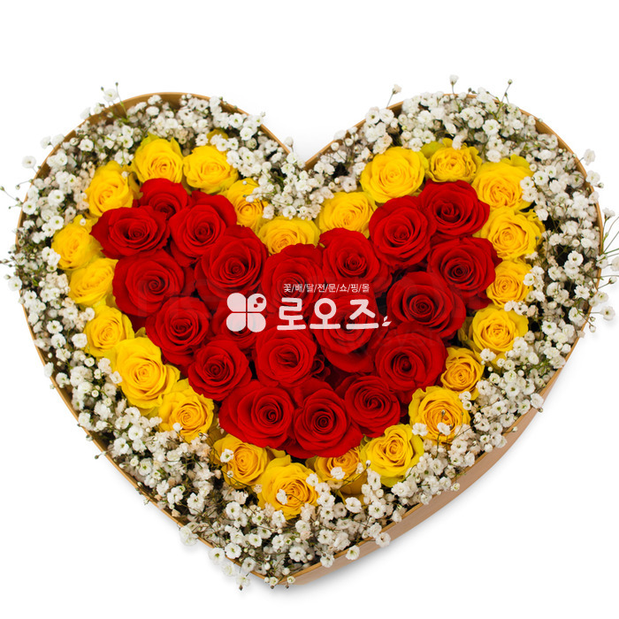 상세이미지