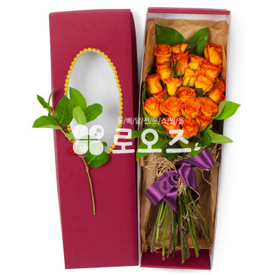보금자리가되어줄께요