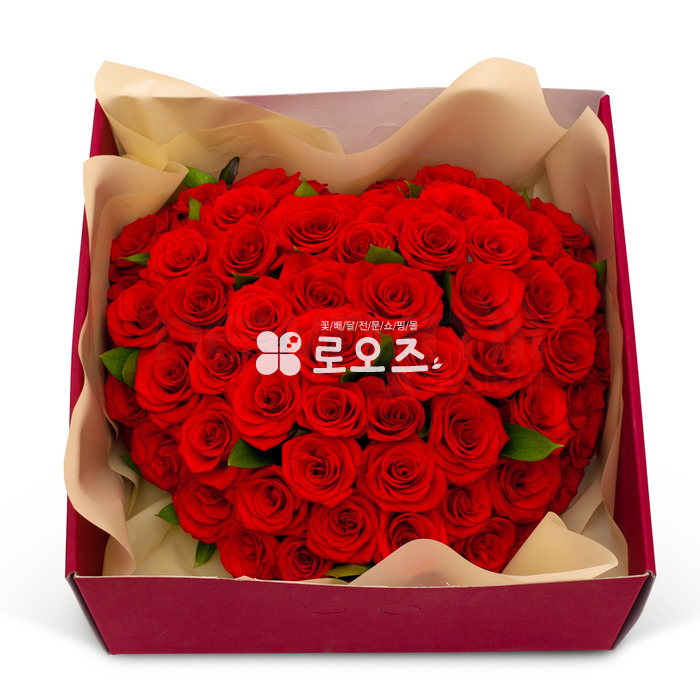 상세이미지