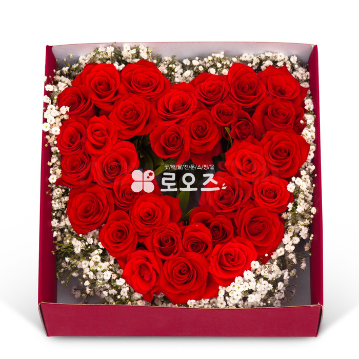 상세이미지
