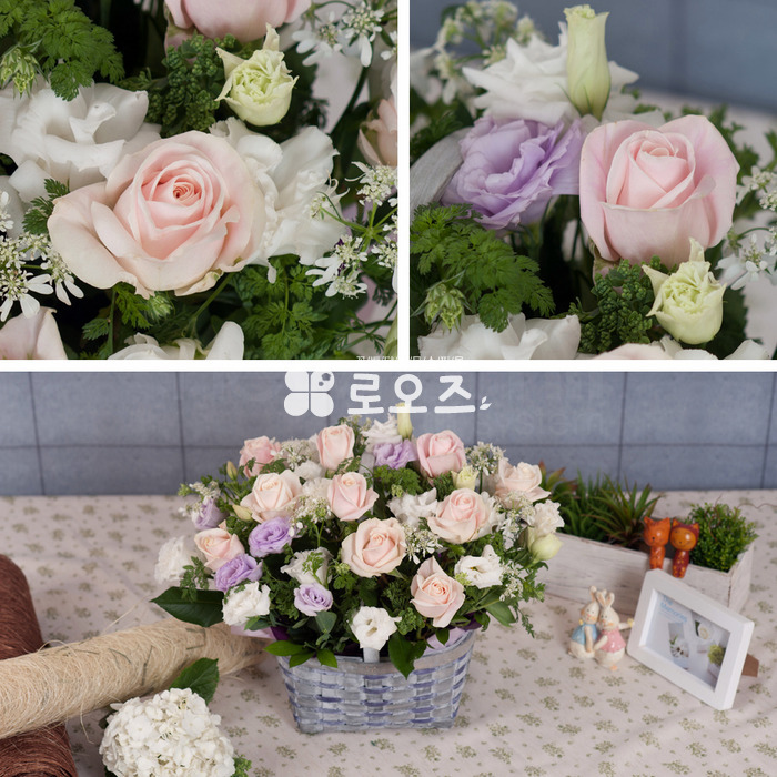 상세이미지