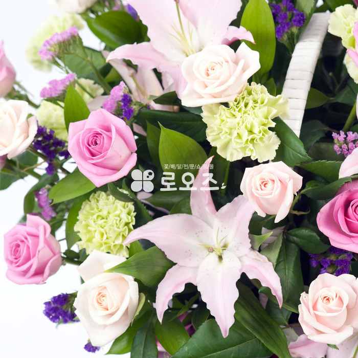상세이미지