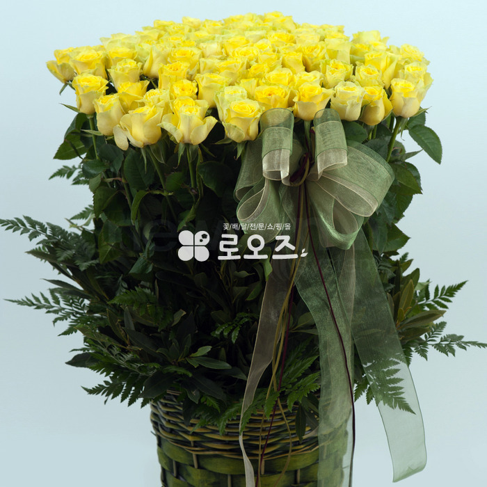 상세이미지