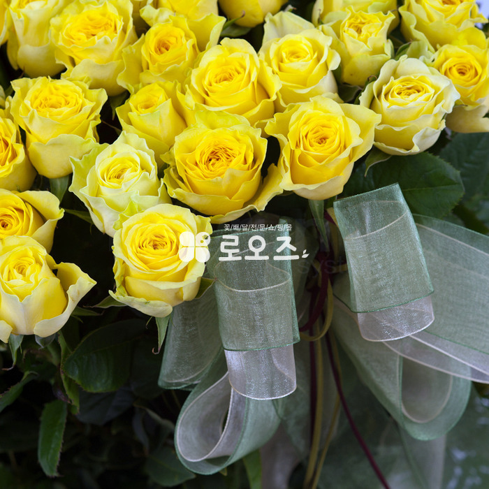 상세이미지