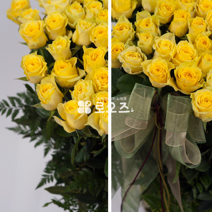 상세이미지