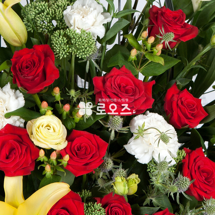 상세이미지