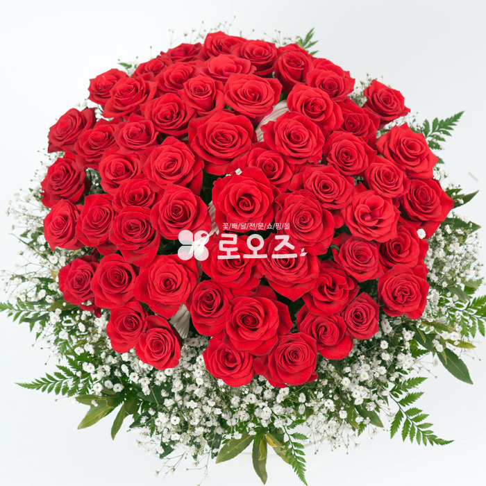 상세이미지