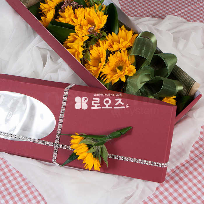 상세이미지