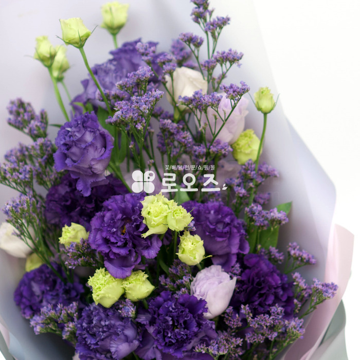 상세이미지