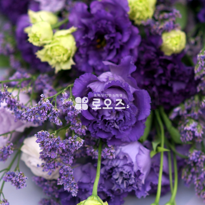 상세이미지