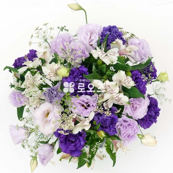 상세이미지