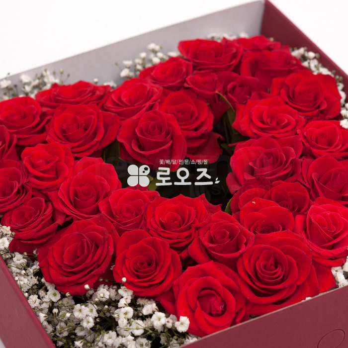 상세이미지