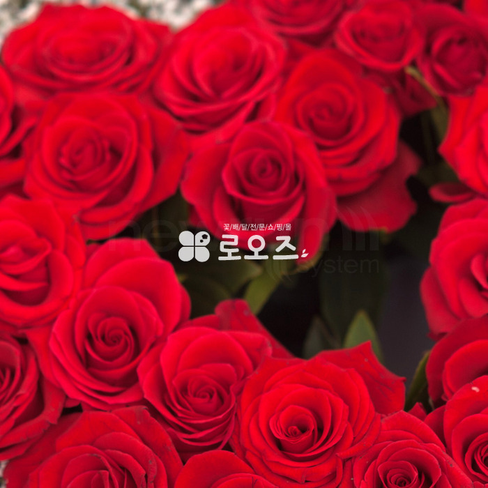 상세이미지