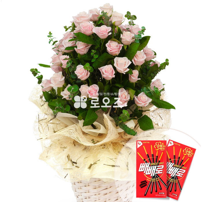 상세이미지