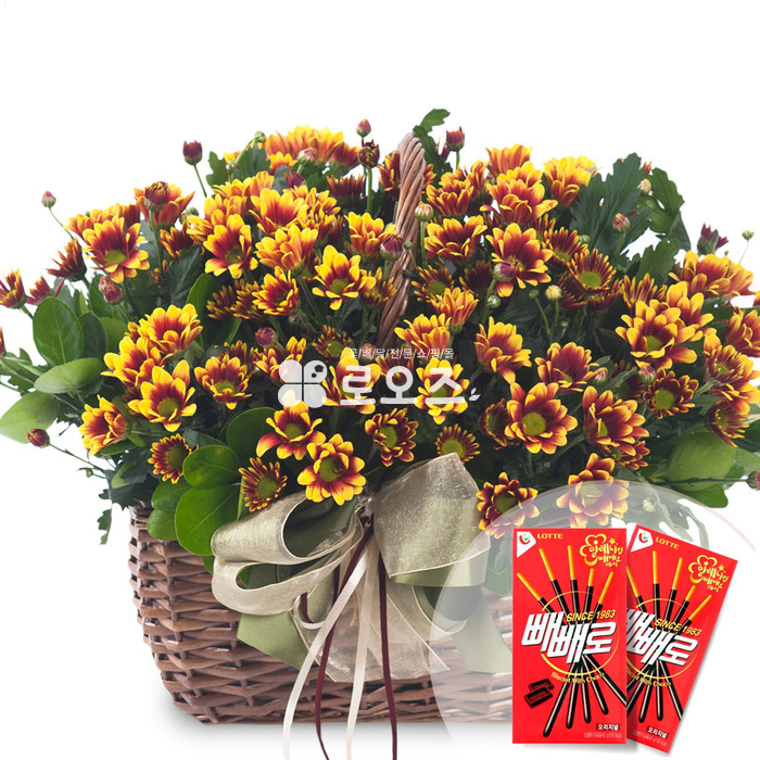 상세이미지
