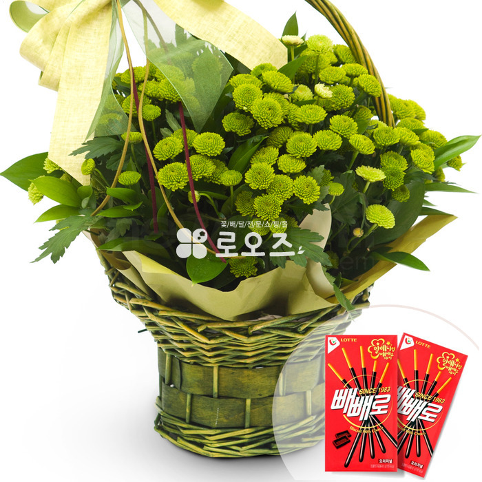 상세이미지