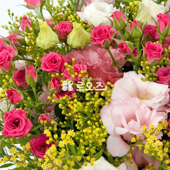 상세이미지