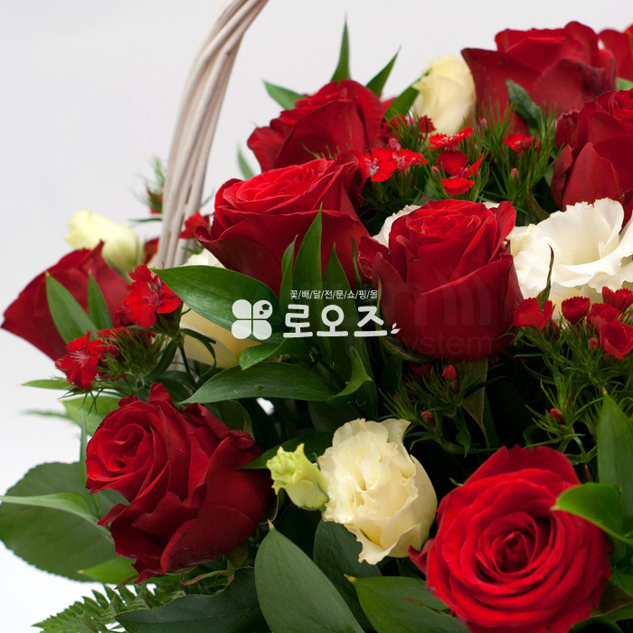 상세이미지
