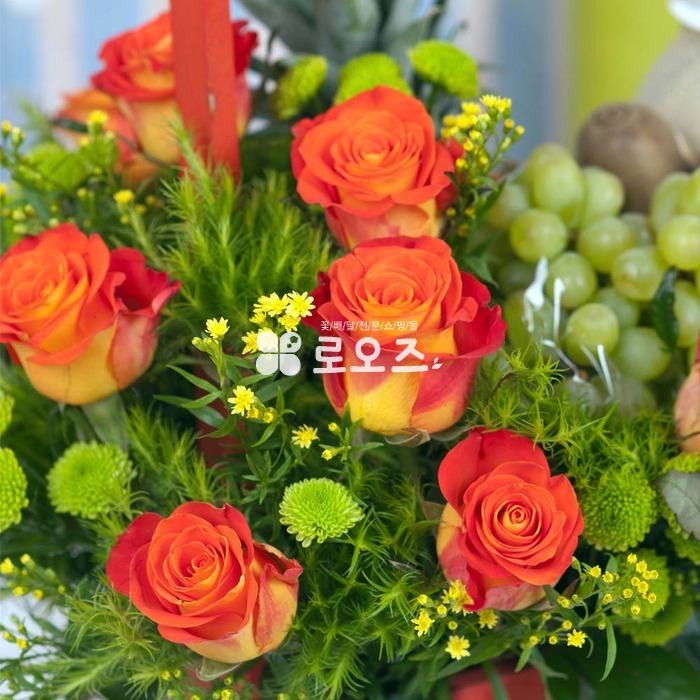 상세이미지