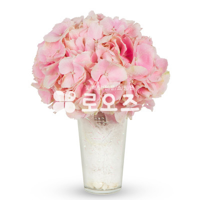 핑크러브스토리♥웨딩 25%인기상품