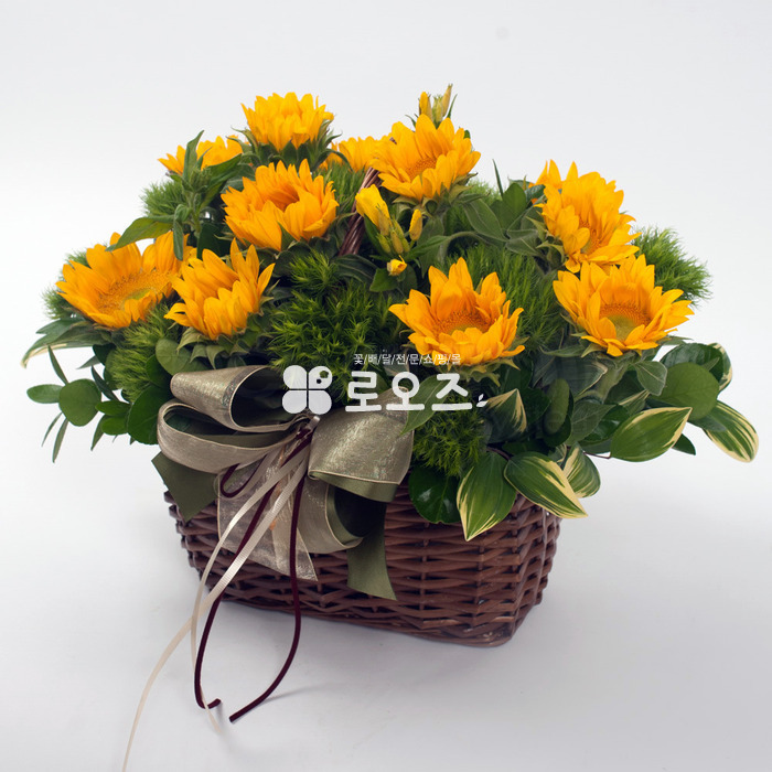 상세이미지