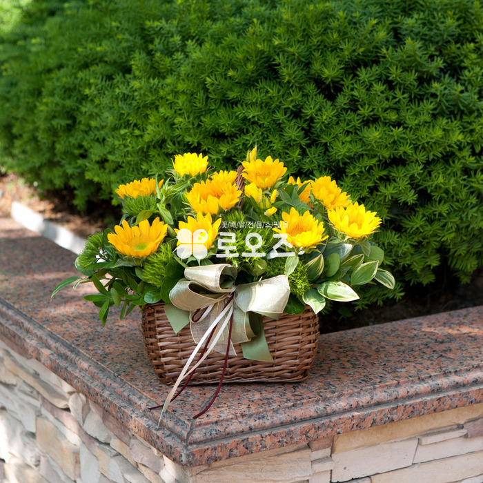 상세이미지