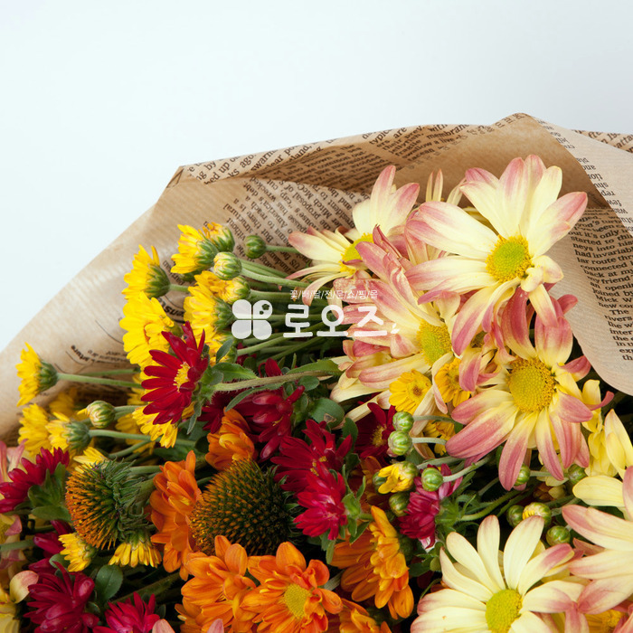 상세이미지