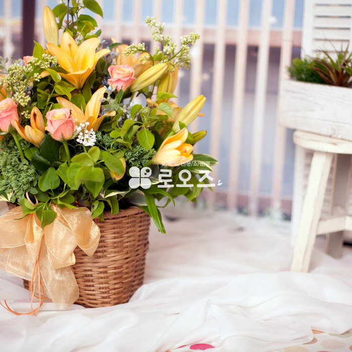 상세이미지